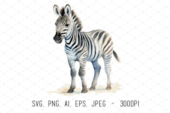 Cute Zebra Sublimation Clipart Guide