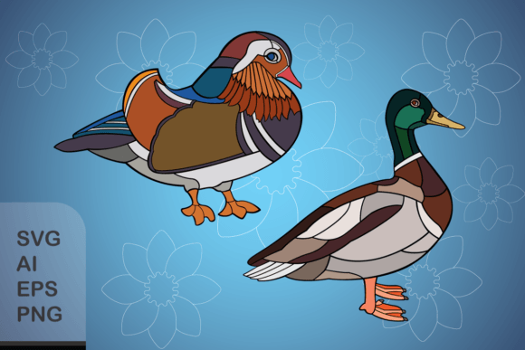 Evaluating the Set of Ducks Digital Illustration Package for Creative Projects