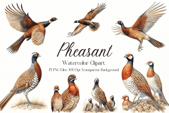 Pheasant Sublimation Watercolor Clipart Guide