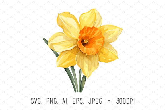 Watercolor Daffodil Flower Clipart